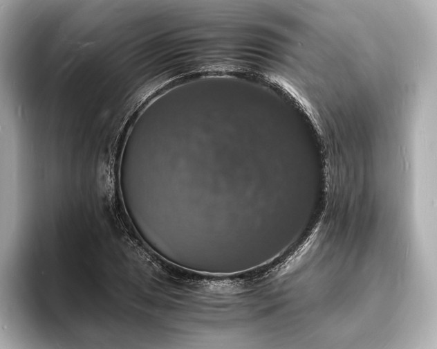 X0000094061025200710261221