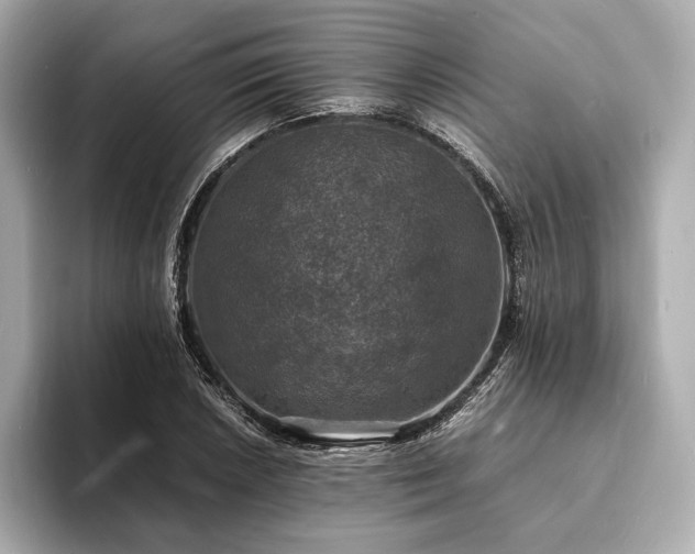 X0000094061026200710261221