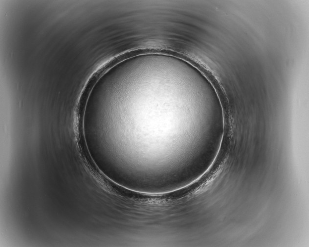 X0000094061029200710261221