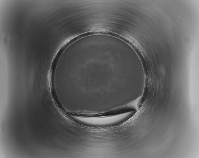 X0000094061030200710261221