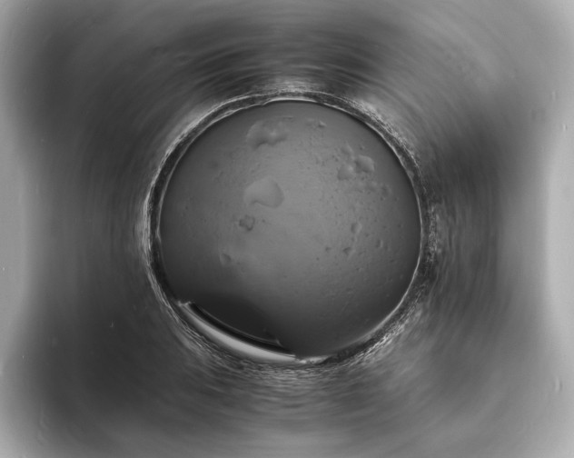 X0000094061031200710261221