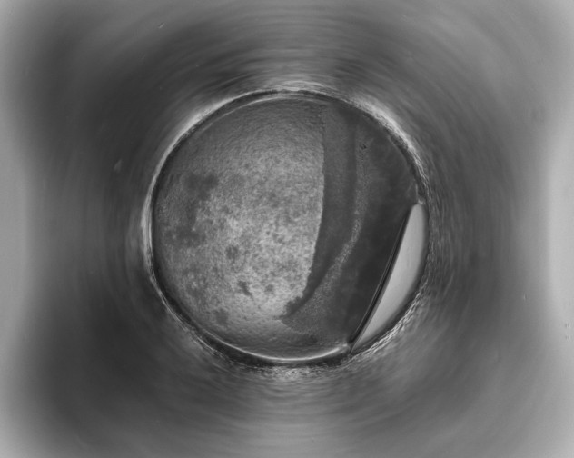 X0000094061032200710261221