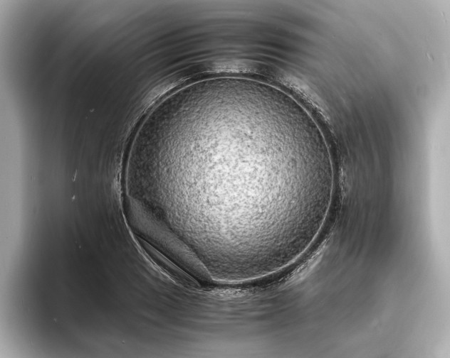 X0000094061033200710261221
