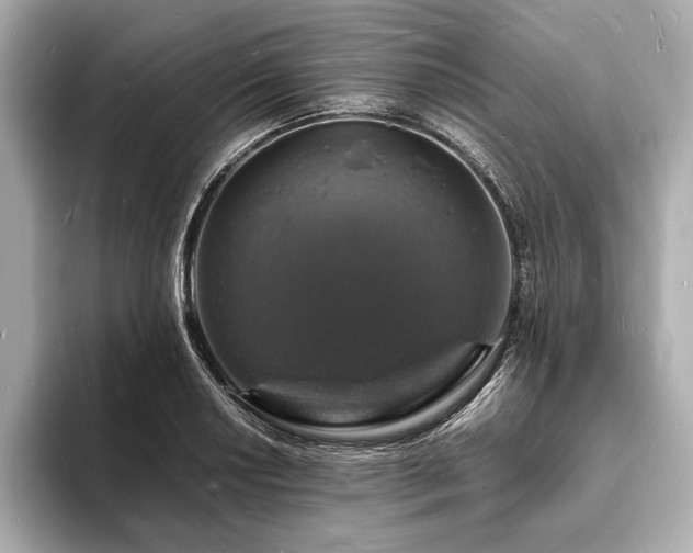 X0000094061034200710261221
