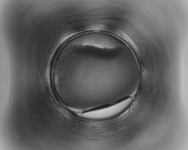 X0000094061035200710261221
