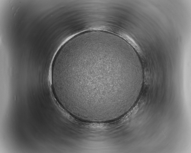 X0000094061036200710261221