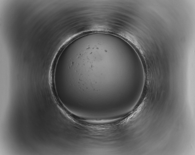 X0000094061037200710261221