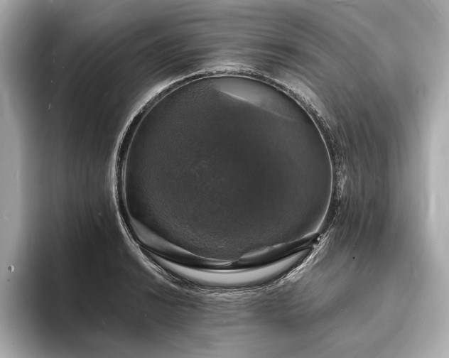 X0000094061038200710261221