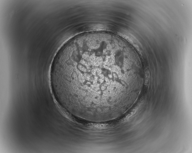 X0000094061039200710261221