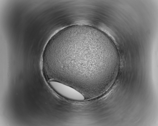 X0000094061040200710261221