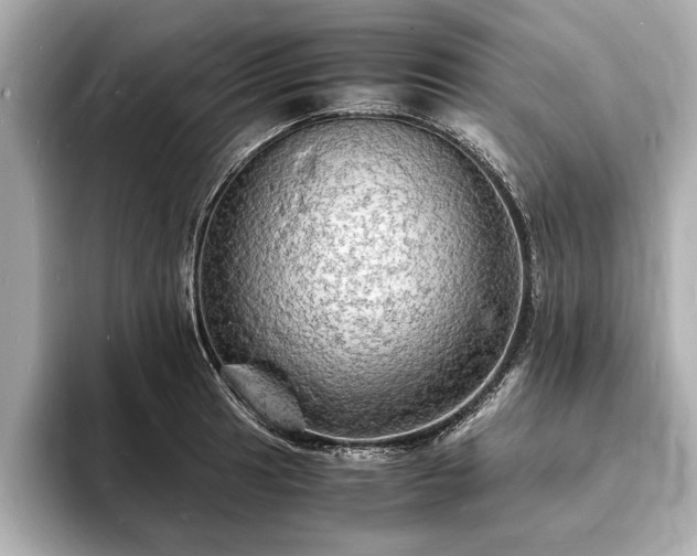 X0000094061041200710261221