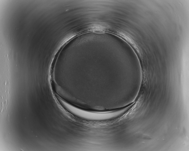 X0000094061042200710261221