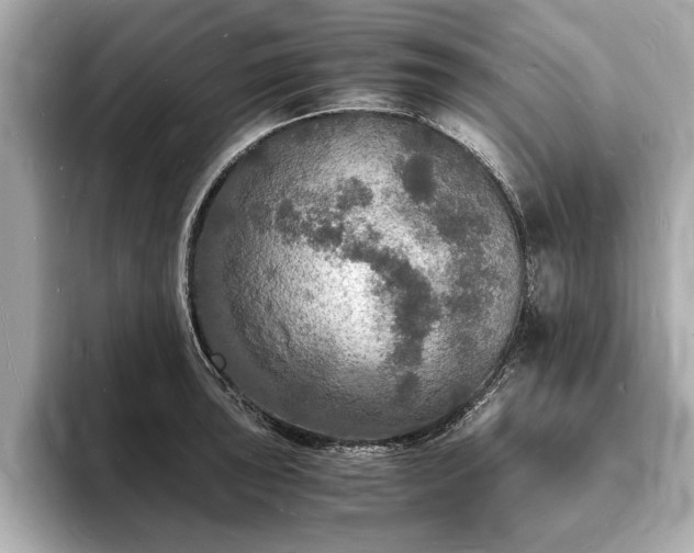 X0000094061043200710261221
