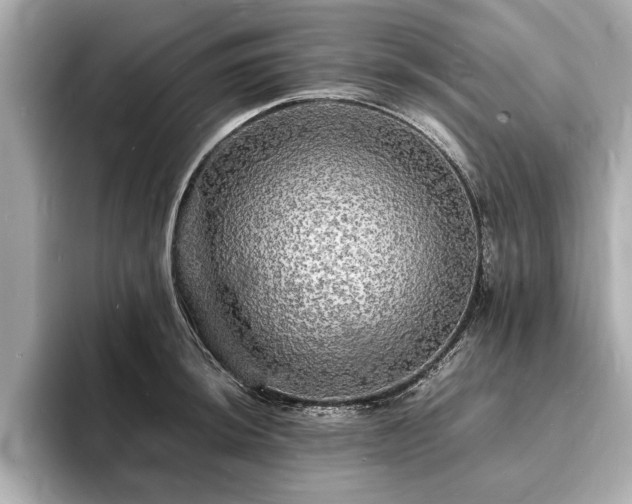 X0000094061044200710261221