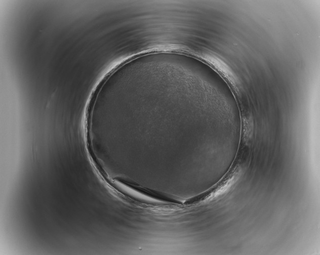 X0000094061046200710261221