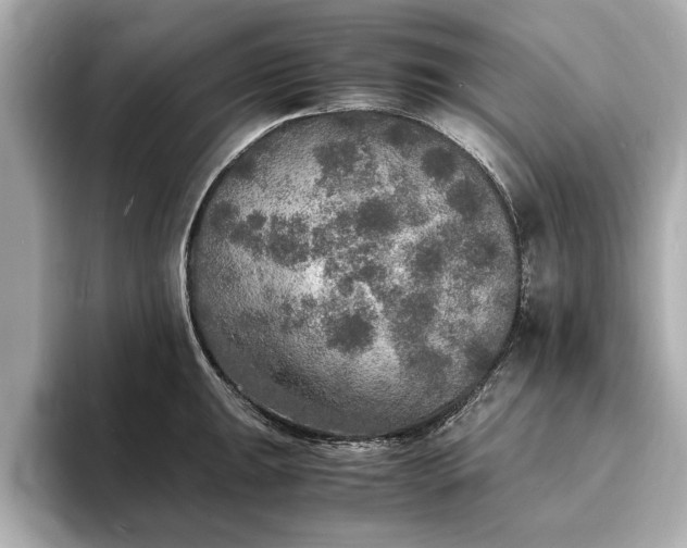 X0000094061047200710261221