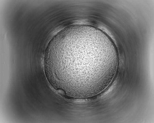 X0000094061049200710261221