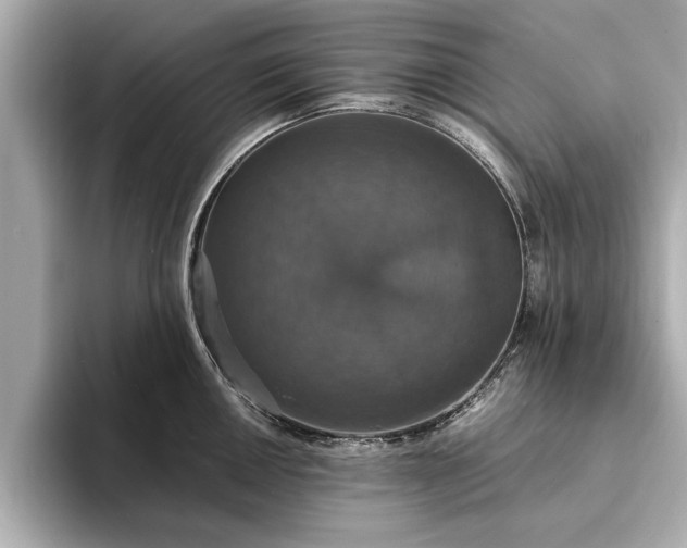 X0000094061050200710261221