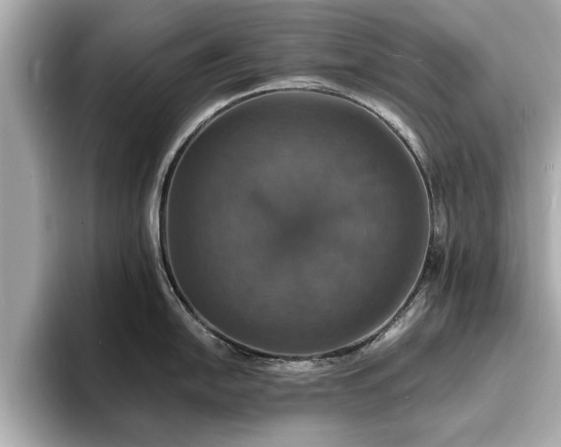 X0000094061054200710261221