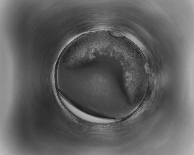 X0000094061055200710261221