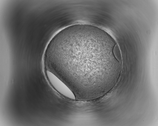 X0000094061056200710261221