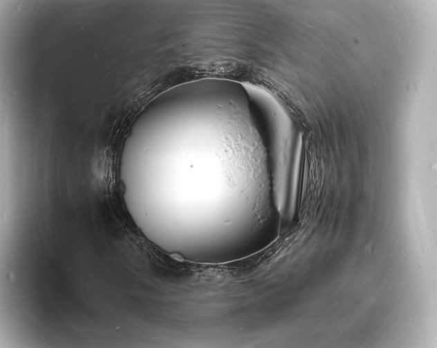 X0000094061058200710261221