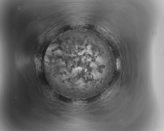 X0000094061059200710261221