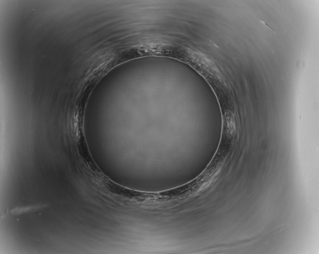 X0000094061060200710261221
