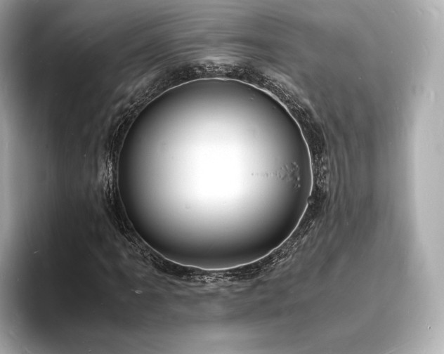 X0000094061061200710261221