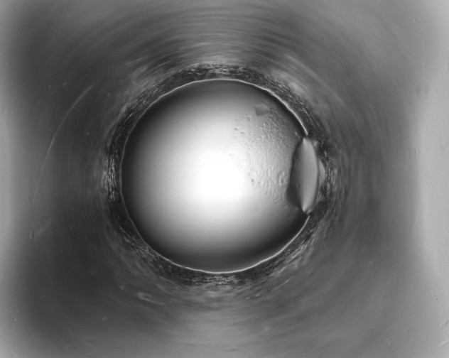 X0000094061062200710261221