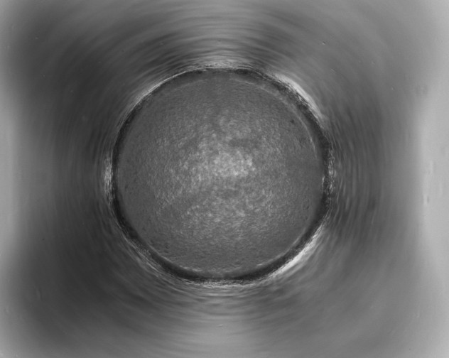 X0000094061065200710261221