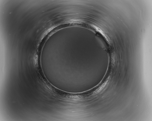 X0000094061066200710261221
