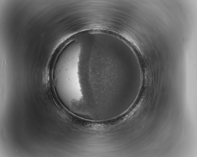X0000094061070200710261221