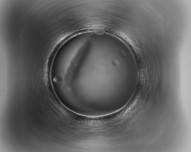 X0000094061071200710261221