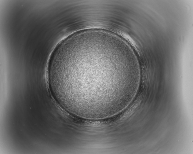 X0000094061072200710261221