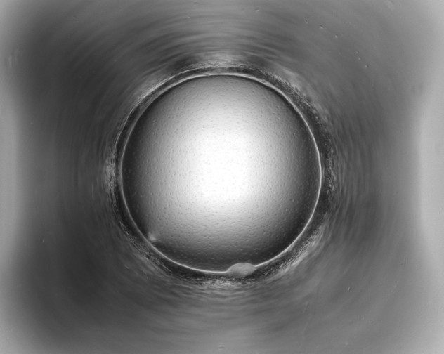 X0000094061073200710261220