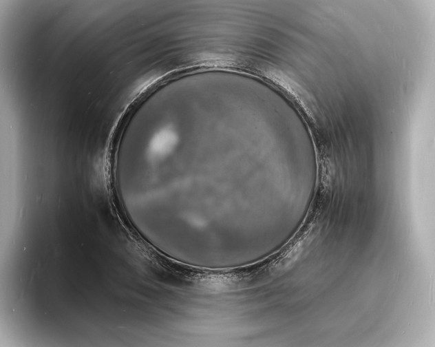 X0000094061074200710261220