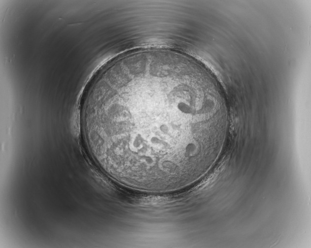 X0000094061075200710261220