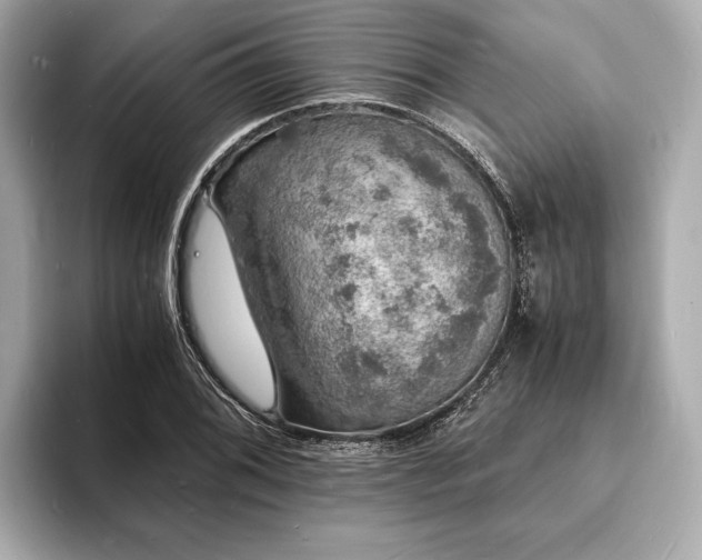 X0000094061076200710261220