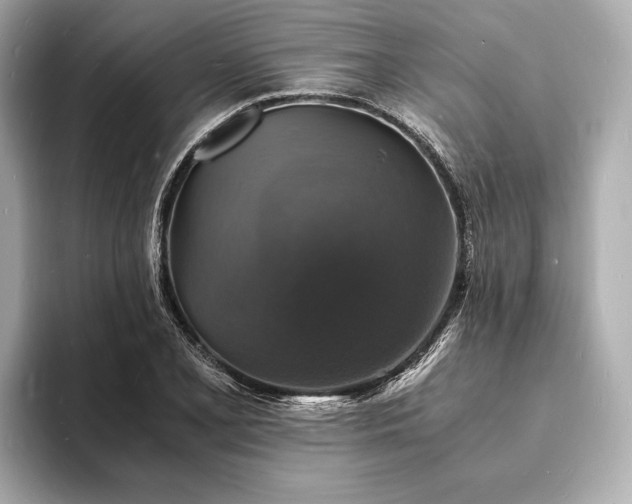 X0000094061077200710261220