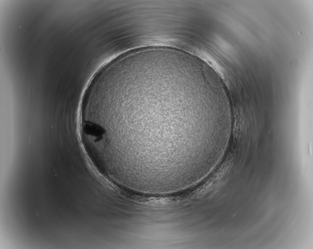 X0000094061080200710261220