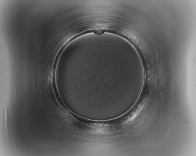 X0000094061081200710261220