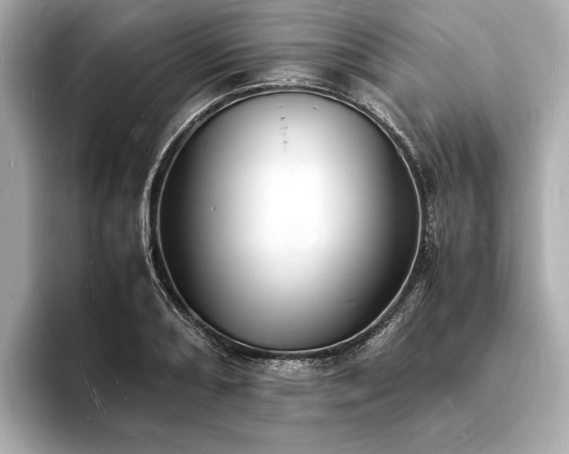 X0000094061082200710261220