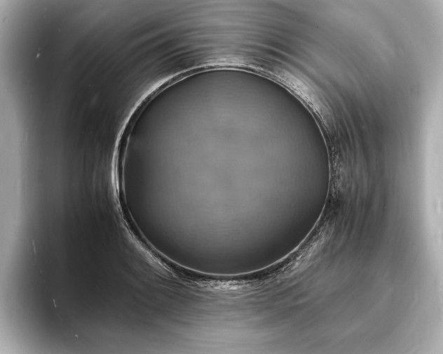 X0000094061084200710261220