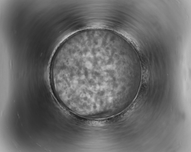 X0000094061086200710261220