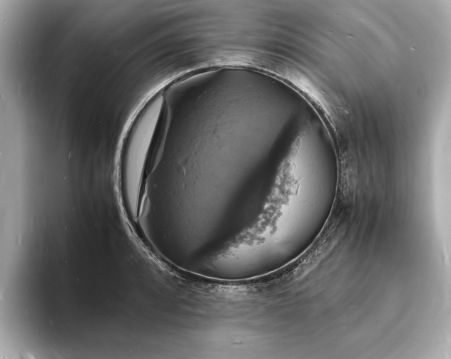 X0000094061088200710261220