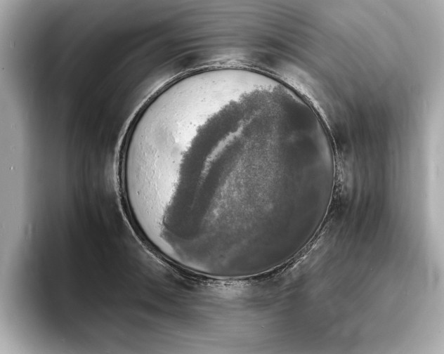 X0000094061090200710261220