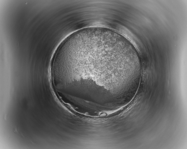 X0000094061092200710261220