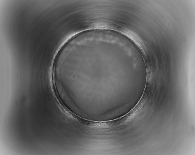 X0000094061094200710261220