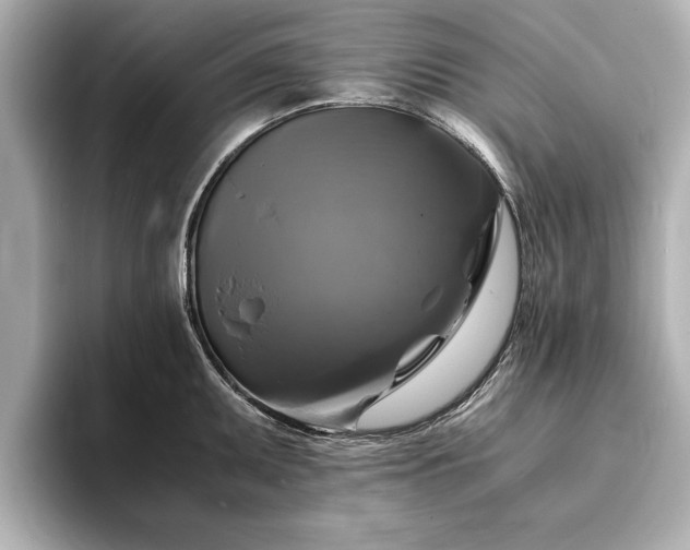 X0000094061095200710261220